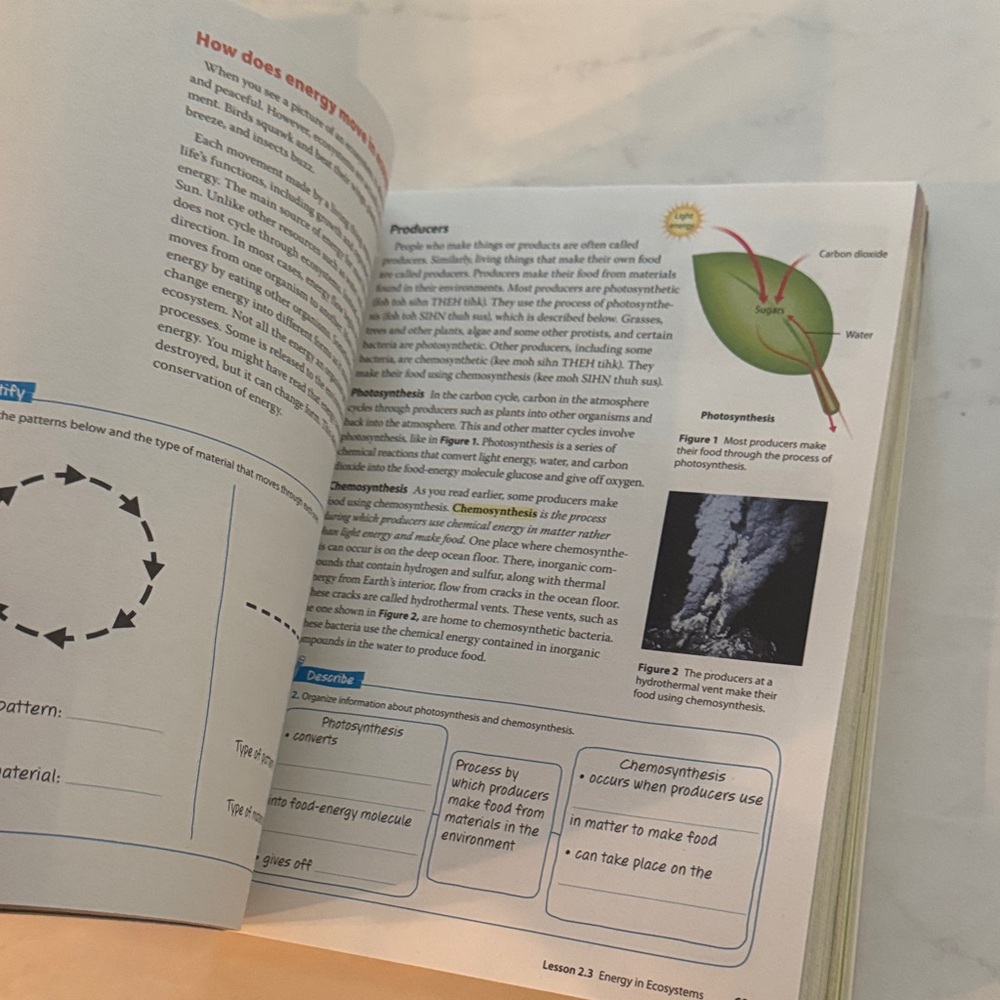 Colorful Chameleon Reptile Book - Picture 8 of 16
